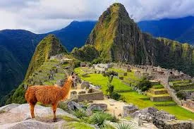 Americas – Latin America & the Caribbean
